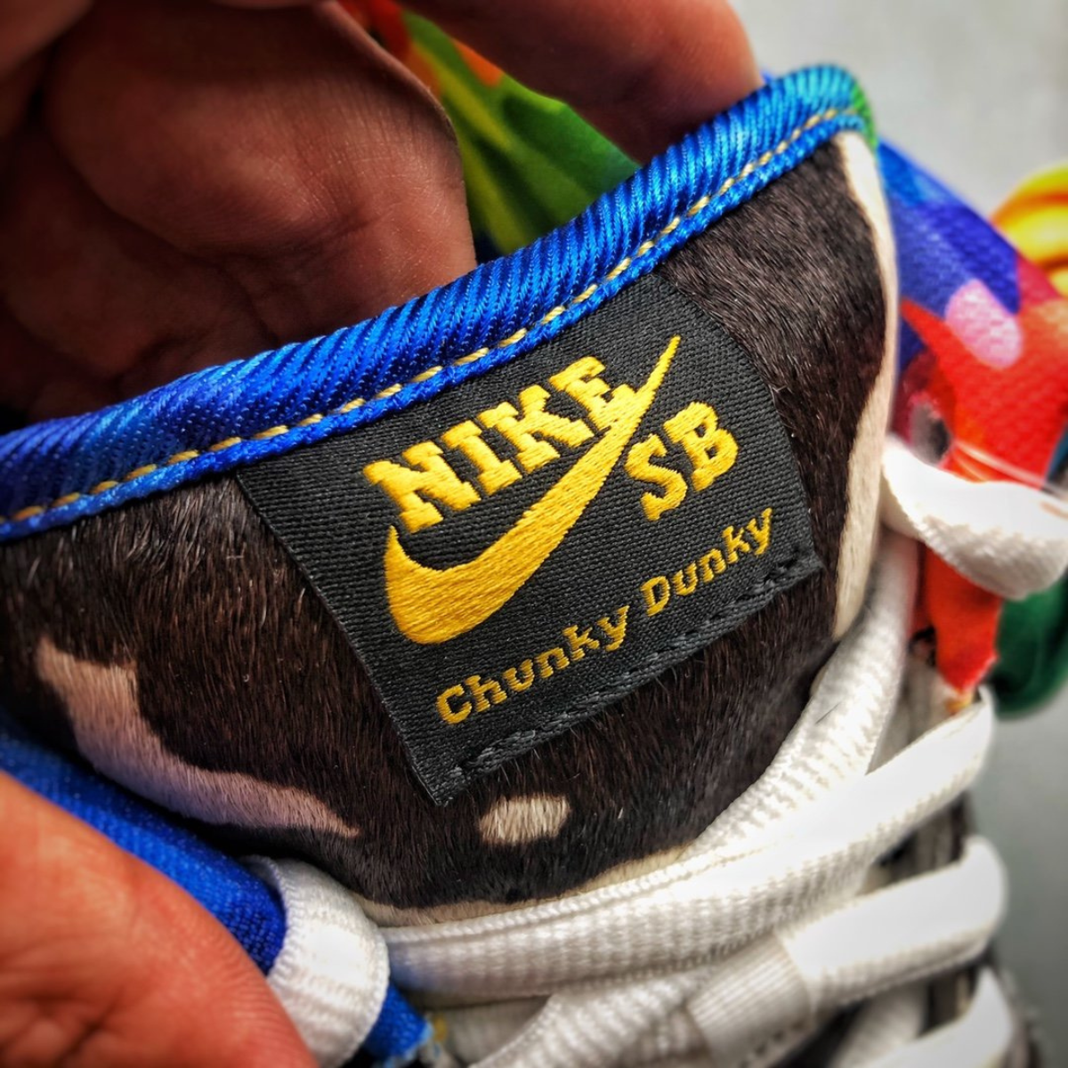 SB Dunk Low x Ben Jerry's Chunky Dunky